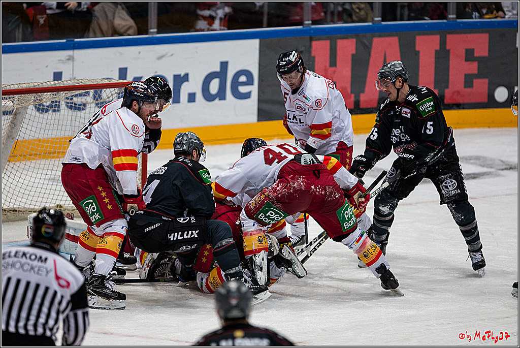 Koelner Haie - Duesseldorfer EG, 18.12.2016